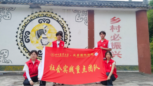 走进大杉坪，看见新气象：a片网站
“众望”小组赴大杉坪村开展调研活动